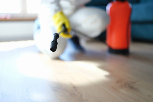 Best Asbestos and Lead Testing During Mold Inspection  in Warsaw, IN