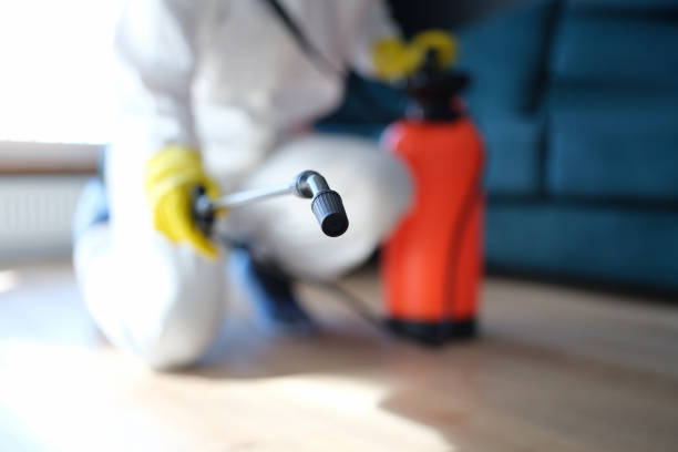 Best Emergency Mold Remediation  in Warsaw, IN